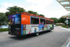 Picture of Naples Trolley Tours